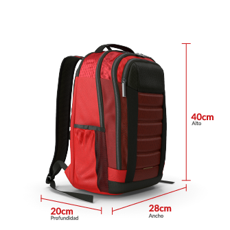 Equipaje de mano más artículo personal